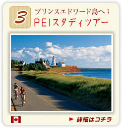 PEI�X�^�f�B�[�c�A�[