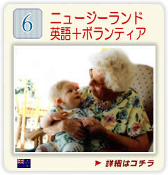 �j���[�W�[�����h�E�p��{�{�����e�B�A