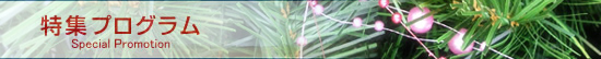 �C���t�H���[�V����