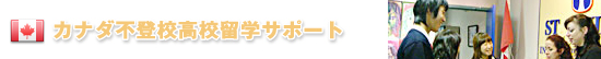 その他の情報